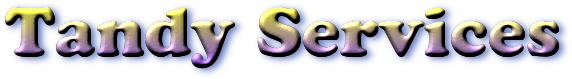 Tandy Services logo